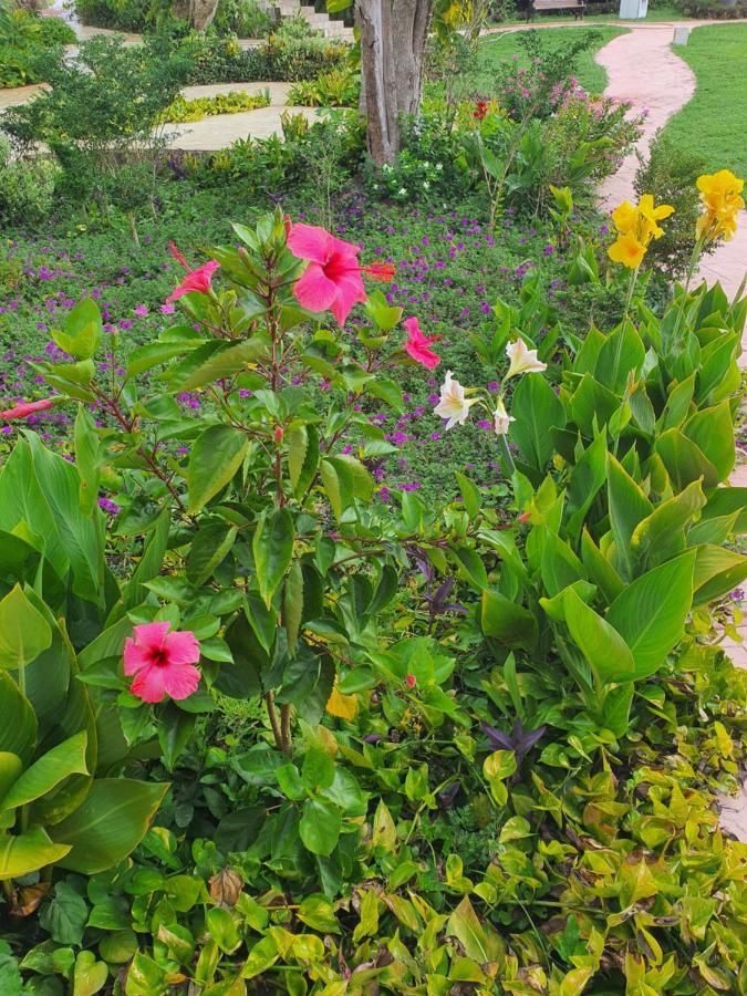 Hacienda Maria Elena Yucatan Hotel ตีคัล ภายนอก รูปภาพ